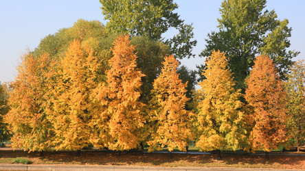 Similar image 21671214