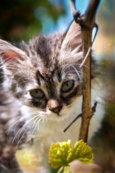 Similar image 21670294