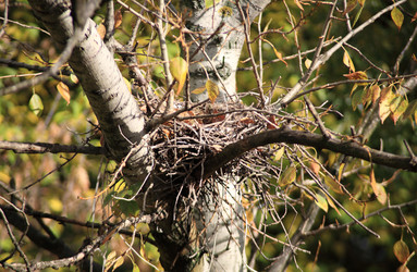 Similar image 21671217