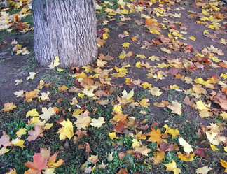 Similar image 21671226