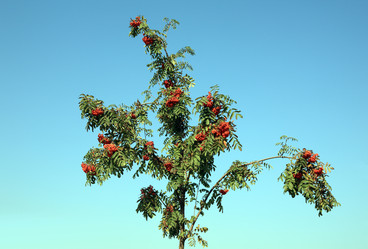 Similar image 21671227