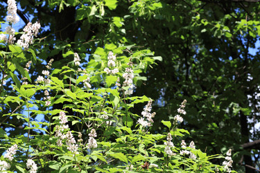 Similar image 21671233