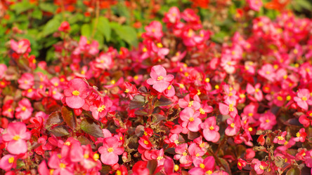 Similar image 21671247