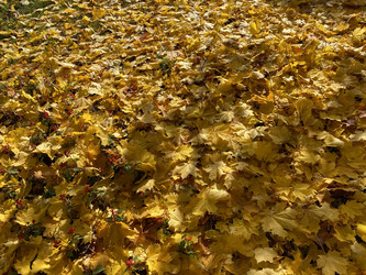 Similar image 21671250