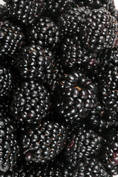 Similar image 21671252