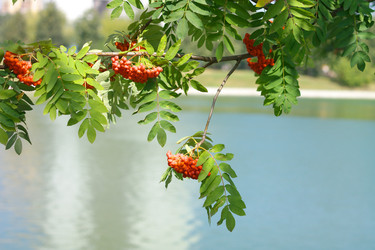 Similar image 21671253