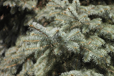 Similar image 21671255