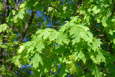 Similar image 21671258