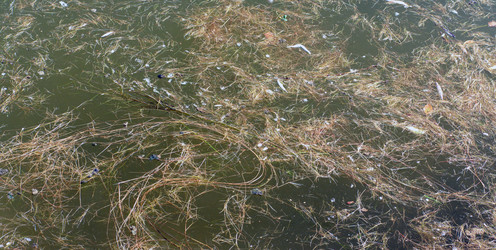 Similar image 21671259