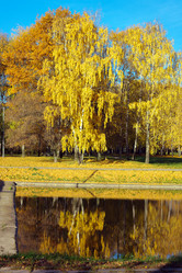 Similar image 21671265