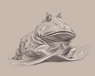 Similar image 21684703