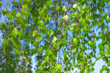 Similar image 21671307