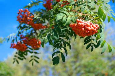 Similar image 21671308