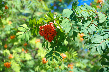 Similar image 21671310