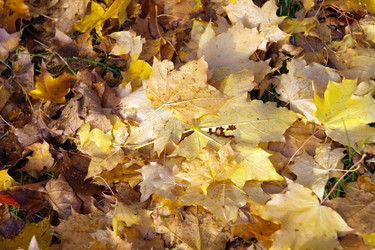 Similar image 21671048