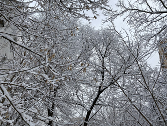 Similar image 21671051