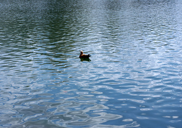 Similar image 21671054