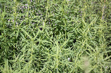 Similar image 21671055