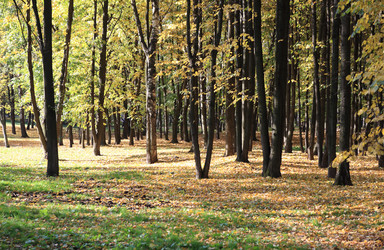 Similar image 21671057