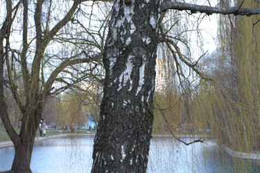 Similar image 21671058