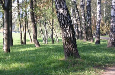 Similar image 21671062