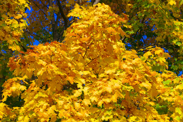 Similar image 21671068