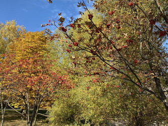 Similar image 21671077