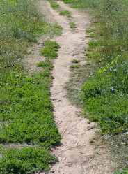 Similar image 21671080