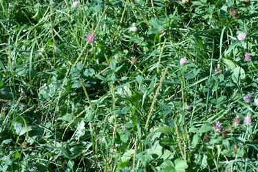 Similar image 21671084