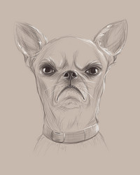 Similar image 21684060