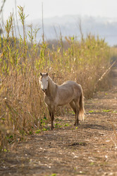 Similar image 21670313