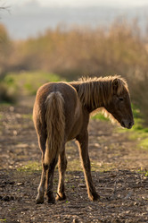 Similar image 21670316