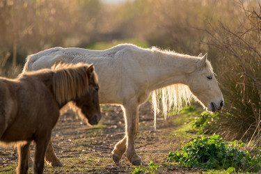 Similar image 21670319