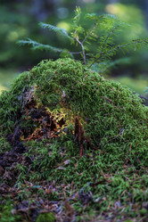 Similar image 21670649