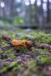 Similar image 21674388