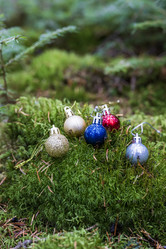 Similar image 21674389