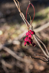 Similar image 21674390