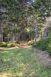 Similar image 21670653