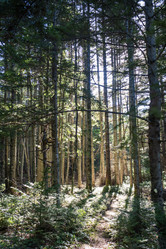 Similar image 21670654