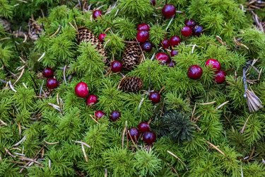 Similar image 21670655