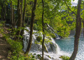 Similar image 21670673