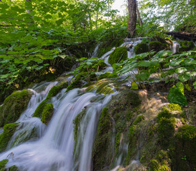 Similar image 21670705