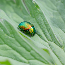 Similar image 21670354