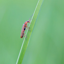 Similar image 21670355