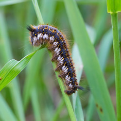 Similar image 21670356