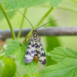 Similar image 21670728