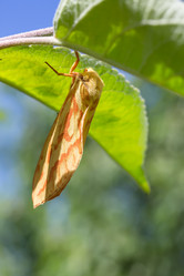 Similar image 21670357