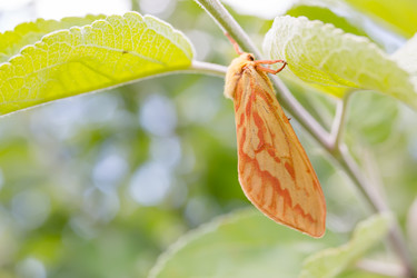 Similar image 21670358