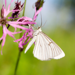 Similar image 21670359