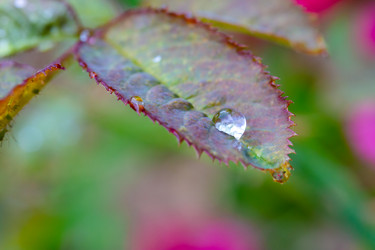 Similar image 21670729